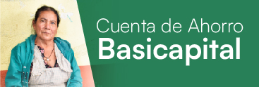 Basicapital